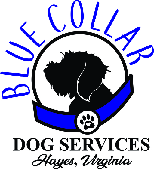 blue collar dog services