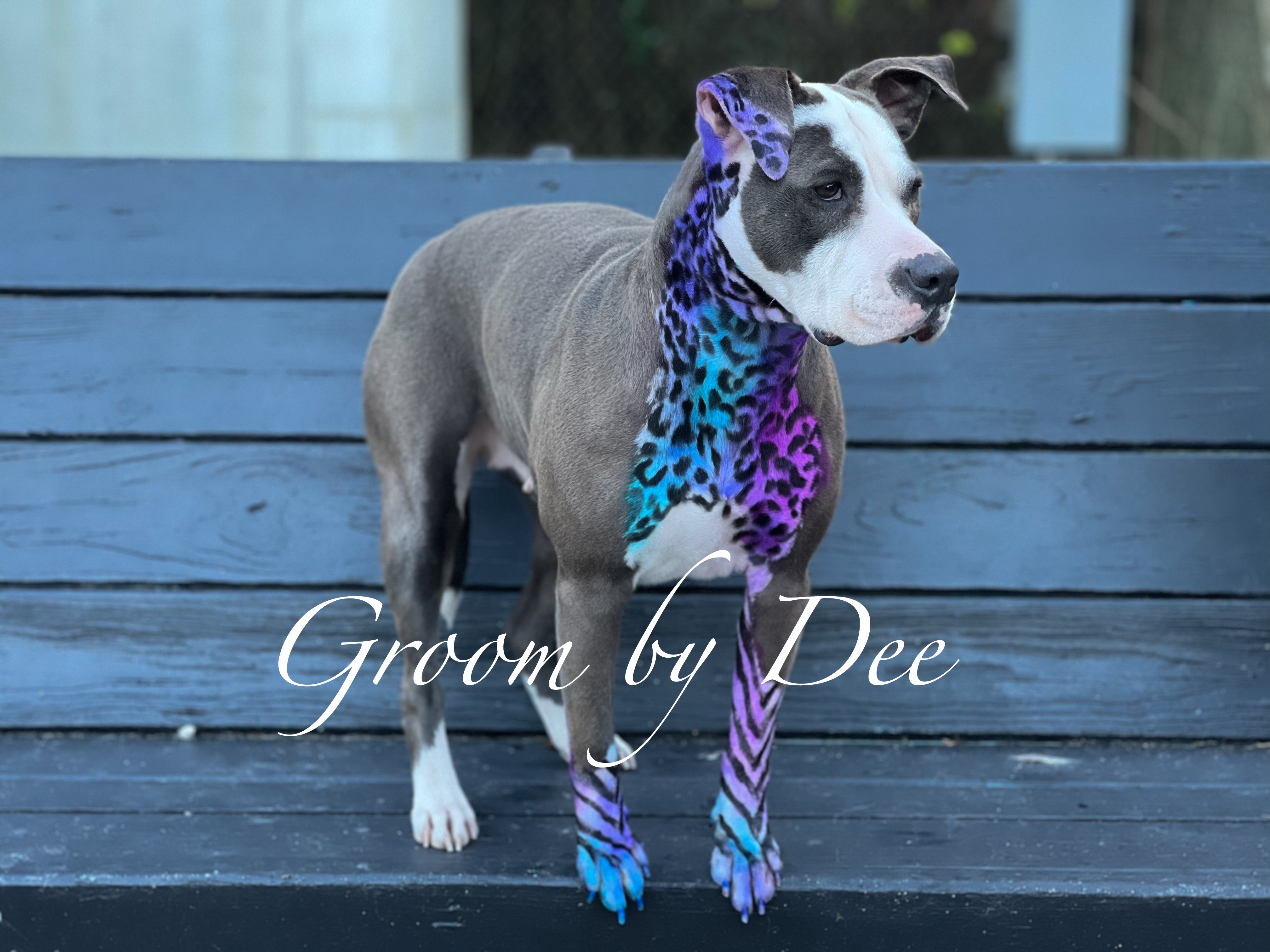 Online booking The Paw Spa with Dee LLC