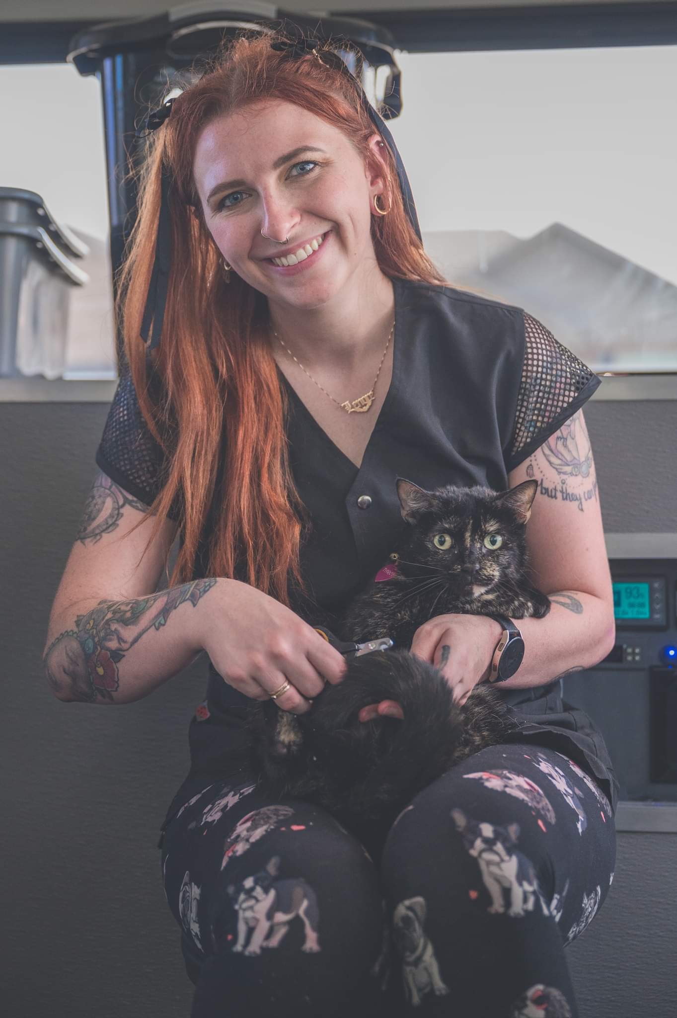 Online booking Black Cat Groomery