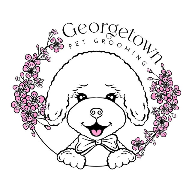 Online booking Pet Grooming