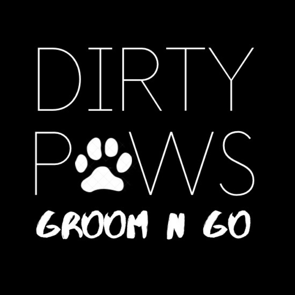 Intake Form Dirty Paws Groom n Go