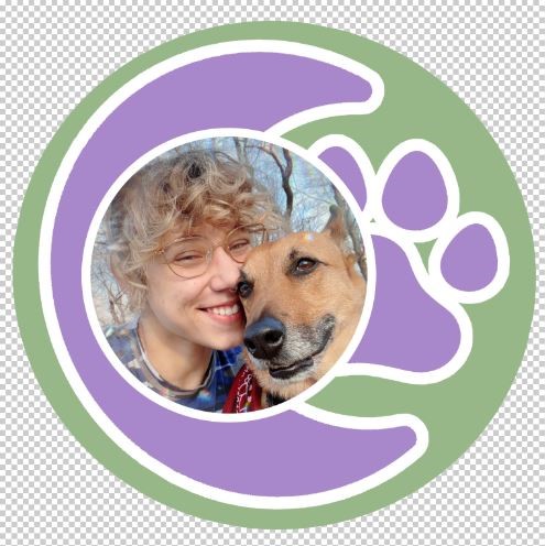 Online booking - Enchanting Tails