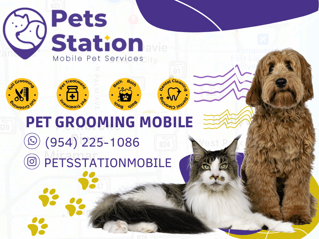 Online booking Pets Station