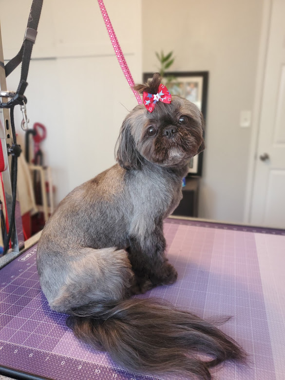 Online booking Love Fur Paws Mobile Dog Grooming