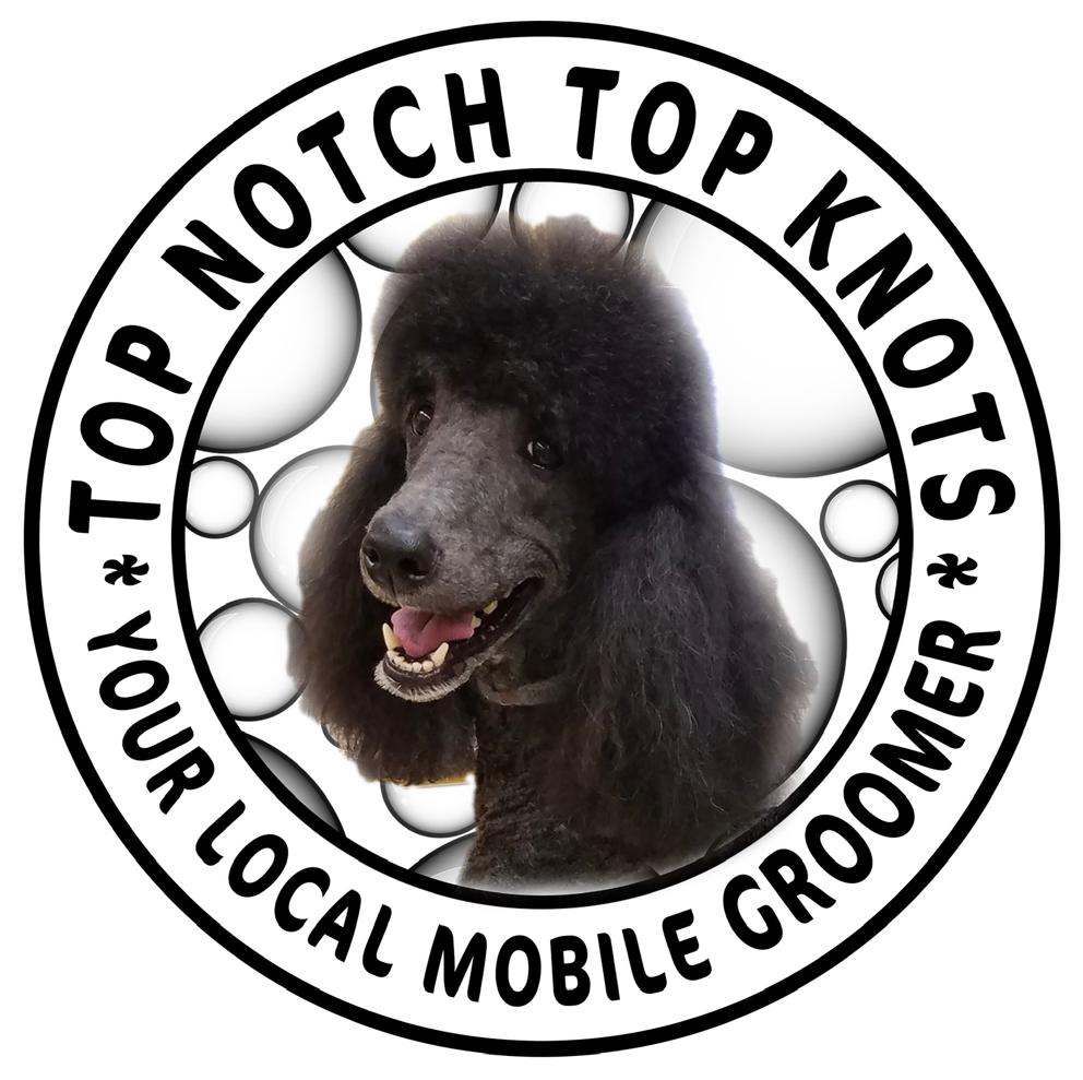 Intake Form Top Notch Top Knots