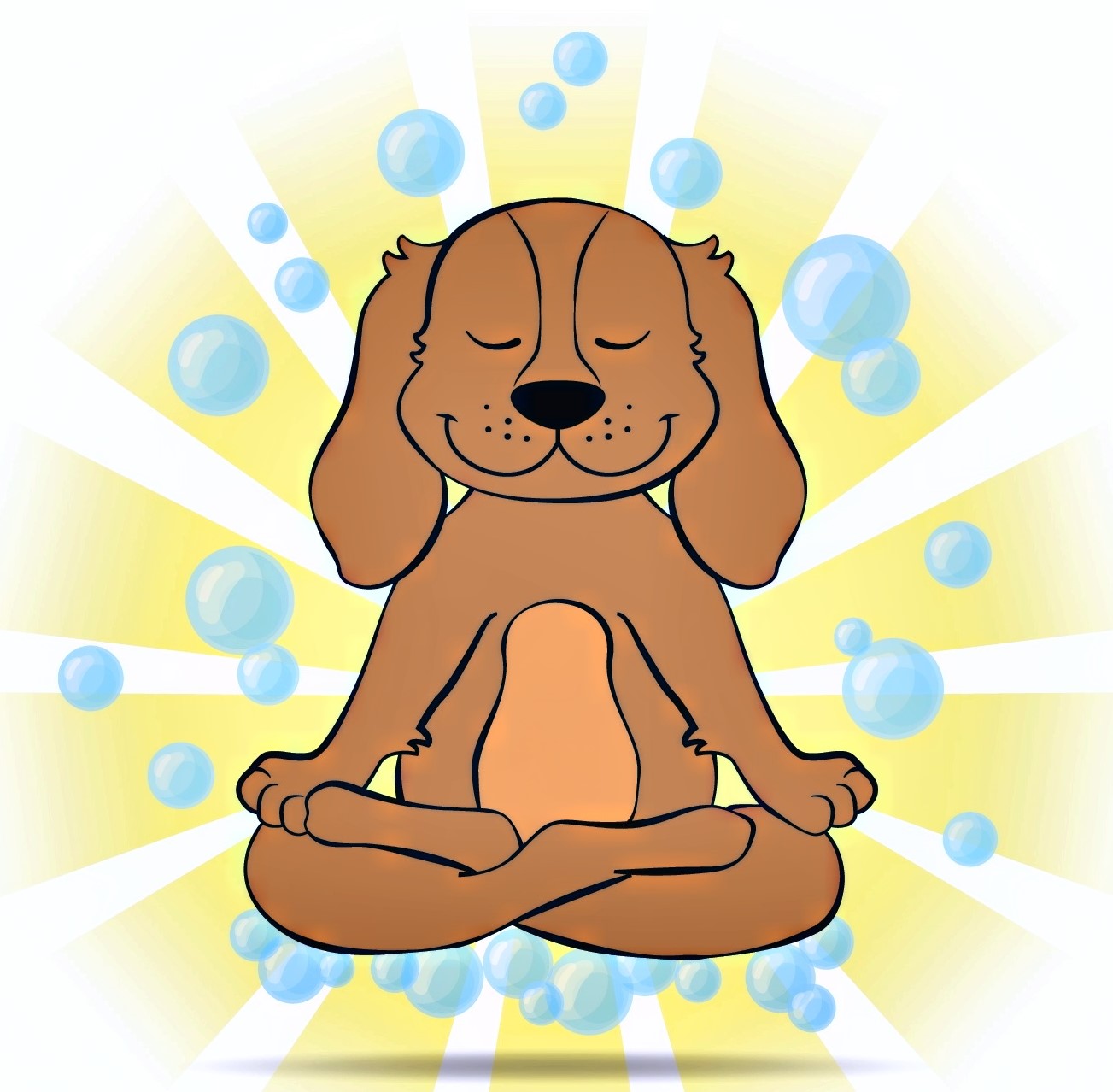 Online booking Elevated Pet Grooming