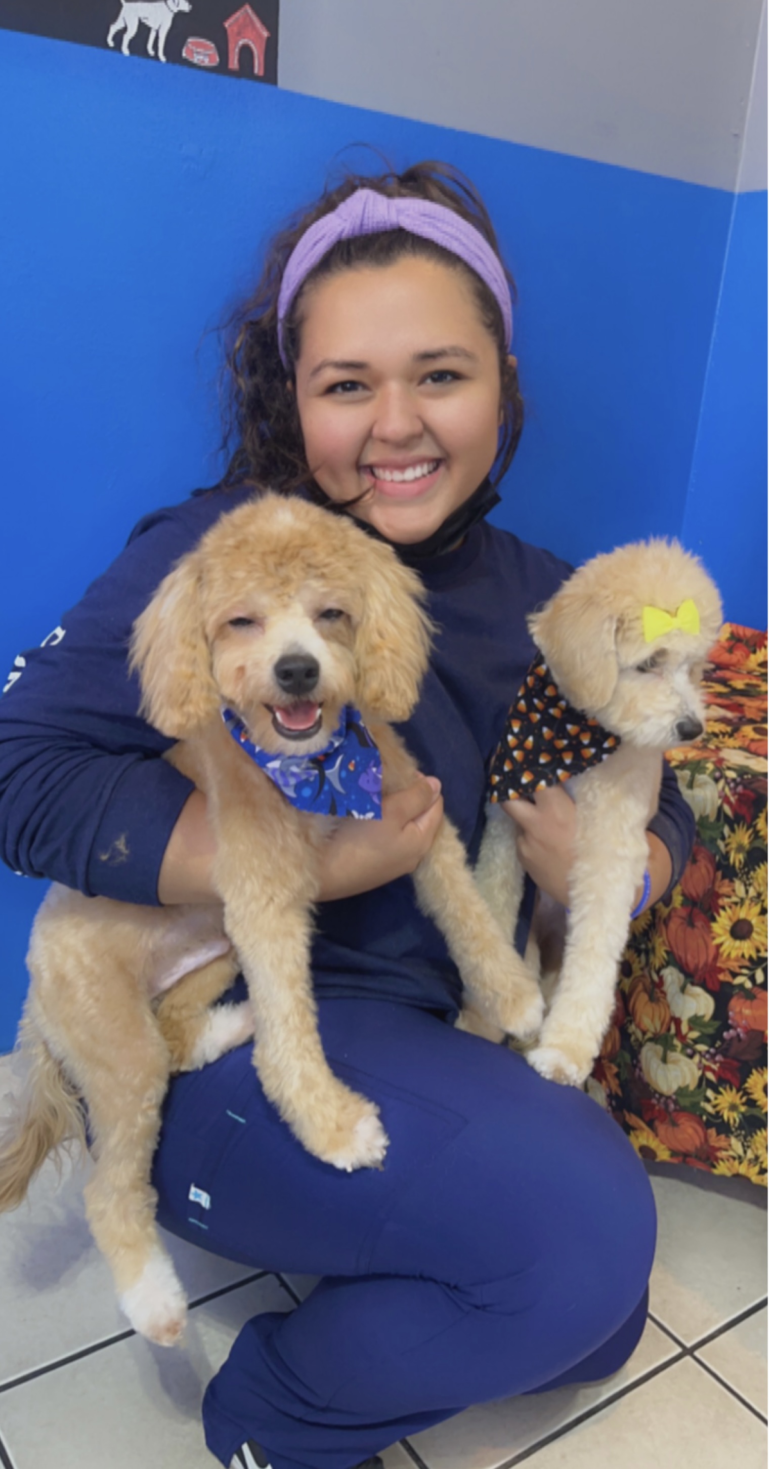 Online booking Dirty Paws Pet Salon