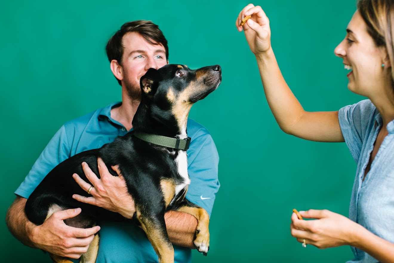 Online booking Pet Depot Huntsville Grooming Salon