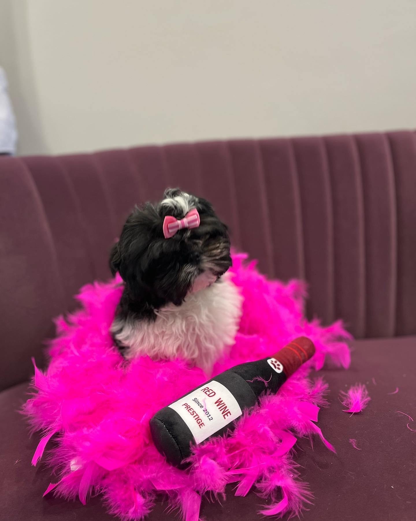 Online booking Barks And Bubbles Grooming Llc