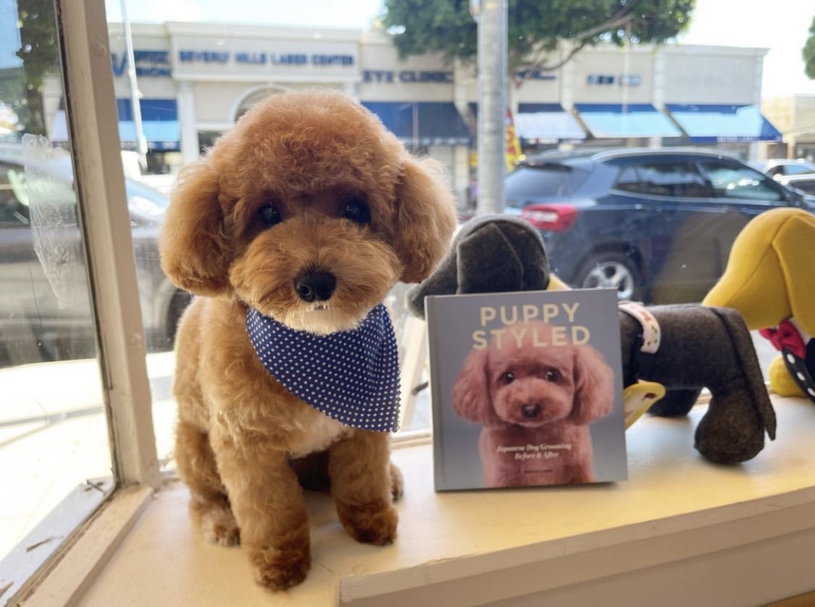 Online booking Henley Style Pet Grooming and Spa