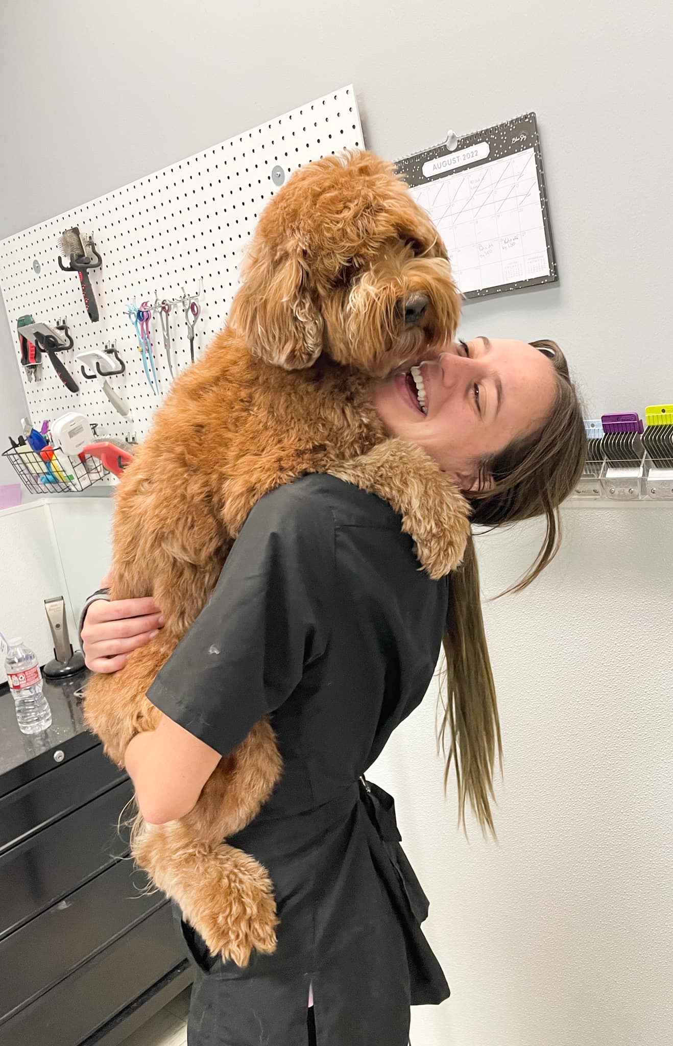 Online booking Paws ReTreat