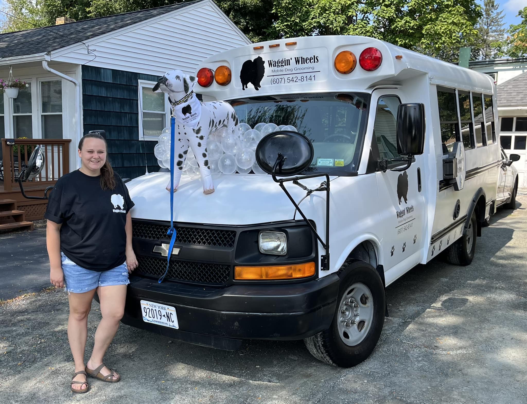 Waggin Wheels Pet Transport Llc - dl834ki