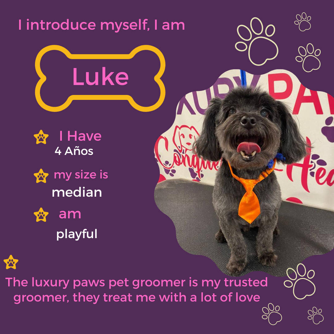 Online booking Luxury Paws Mobile Pet Grooming