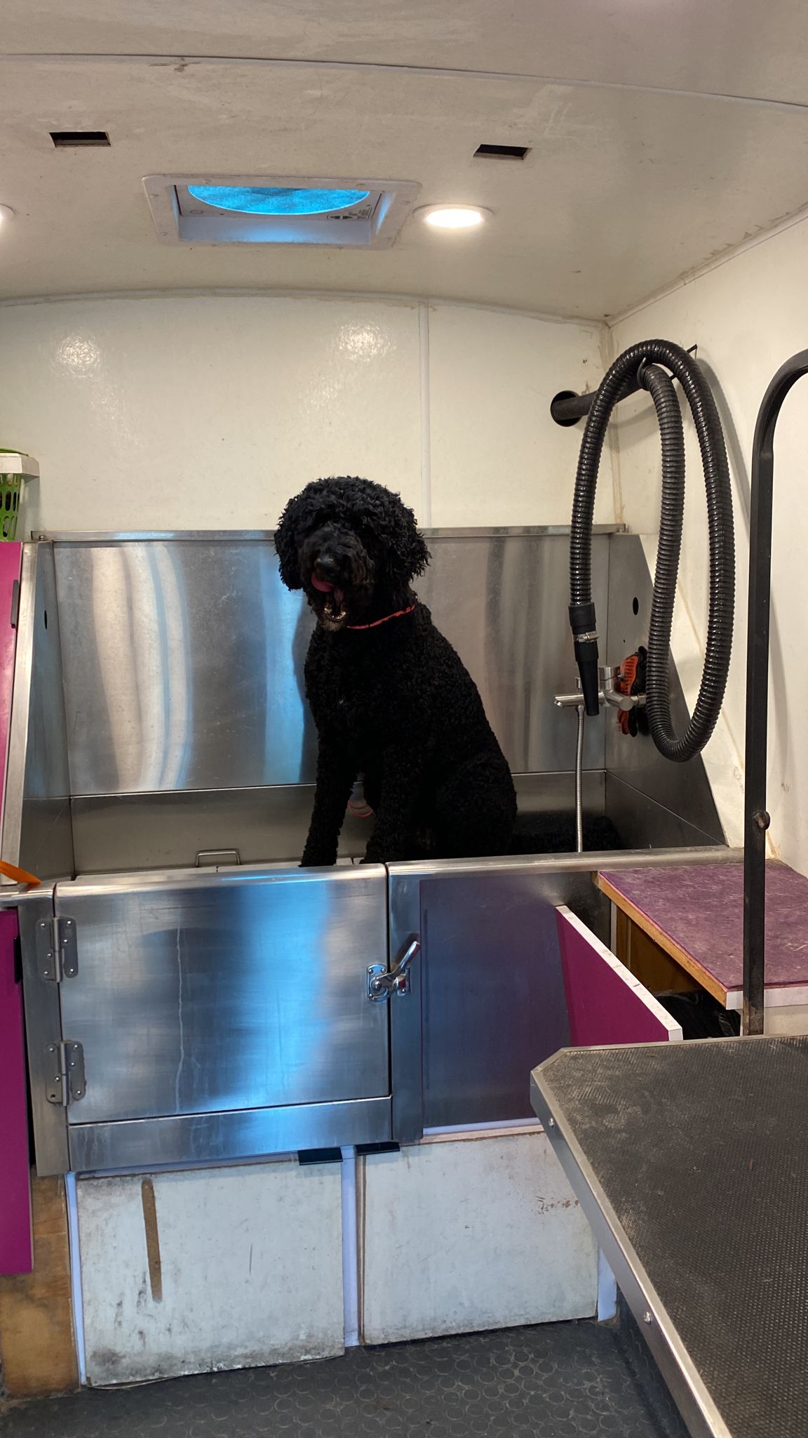 Online booking Luxury Paws Mobile Pet Grooming