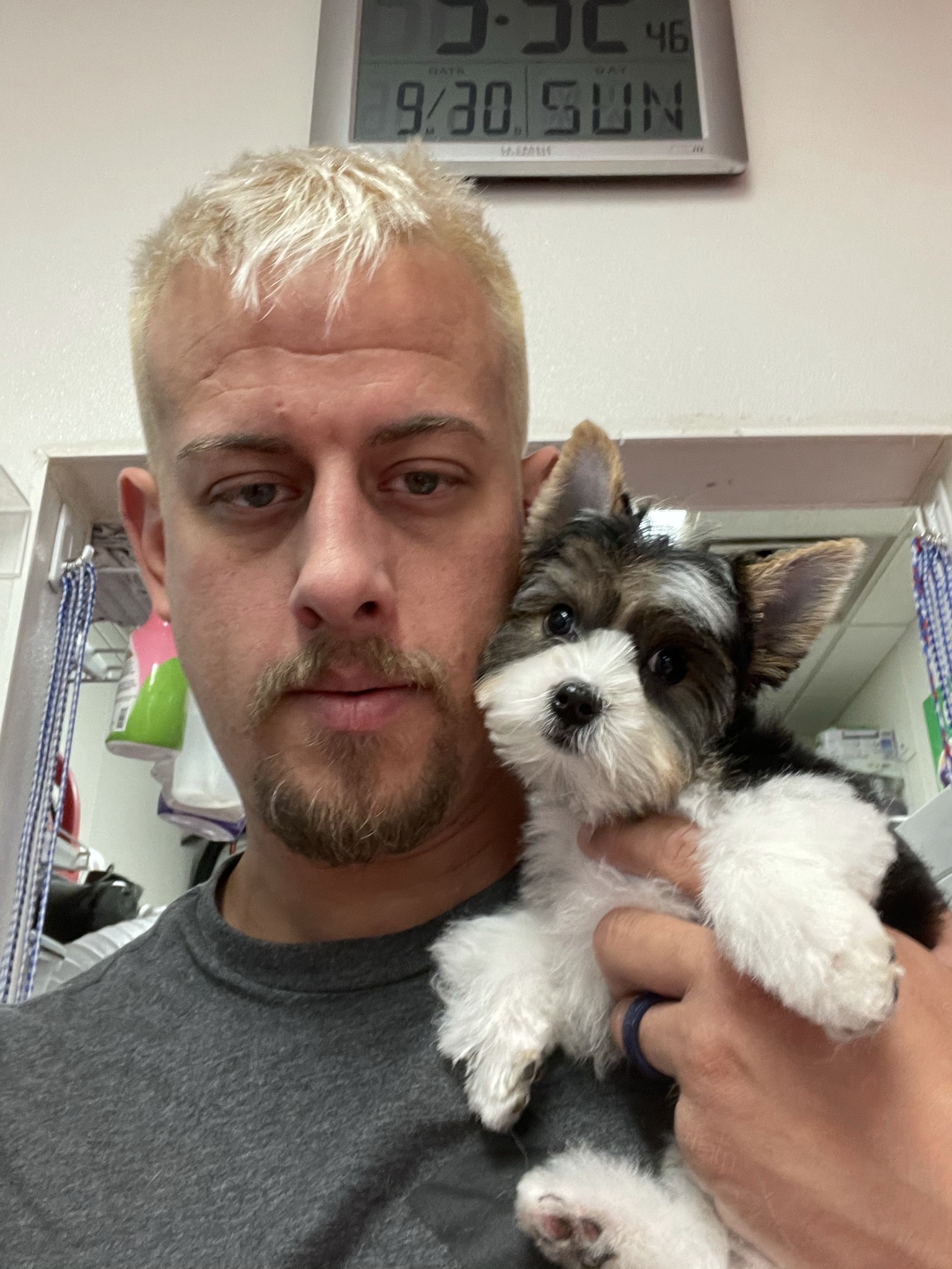 Online booking Classy canine cuts