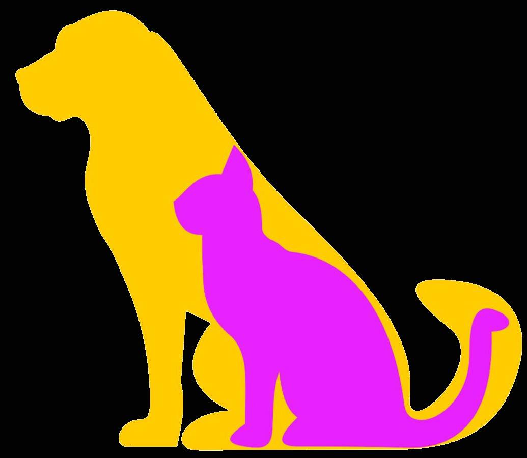 Online booking Affordable Pet Grooming