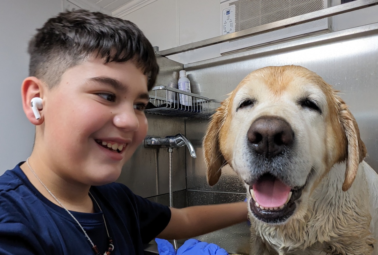 Online booking Squeaky Paws Mobile Pet Spa