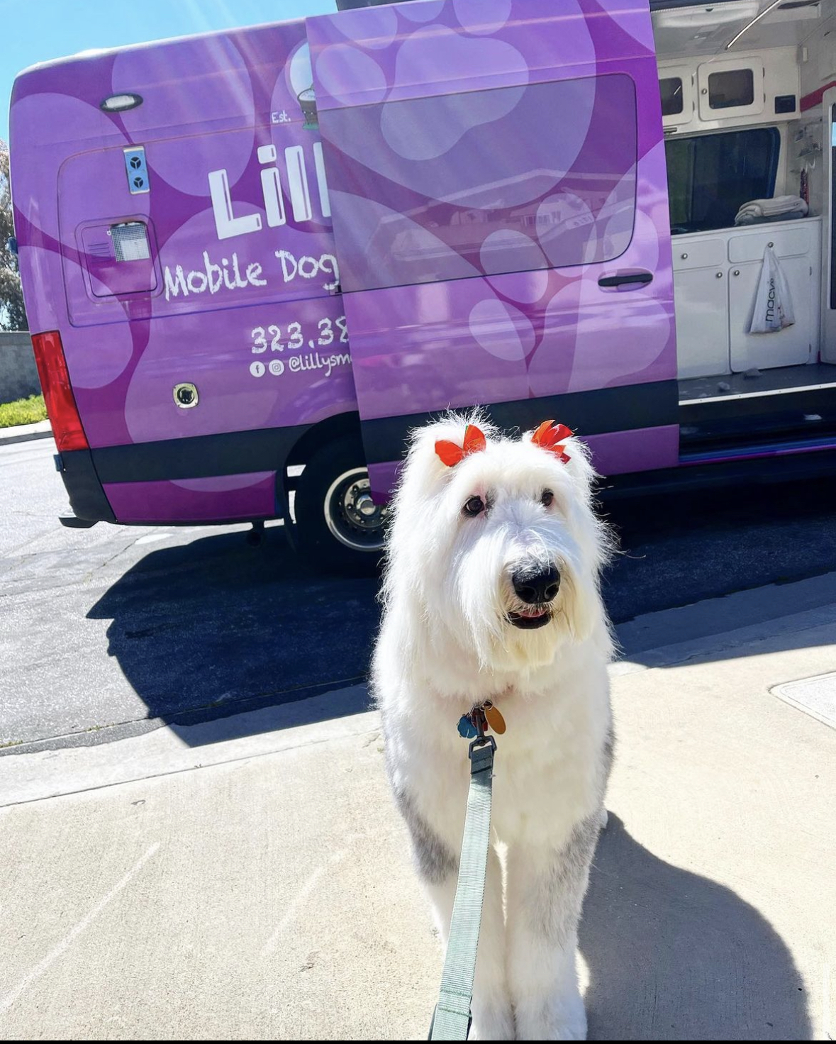 Online booking Lilly's Mobile Dog Grooming