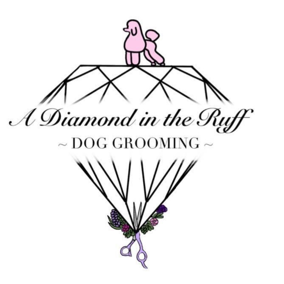 New Client Intake form - A Diamond In The Ruff