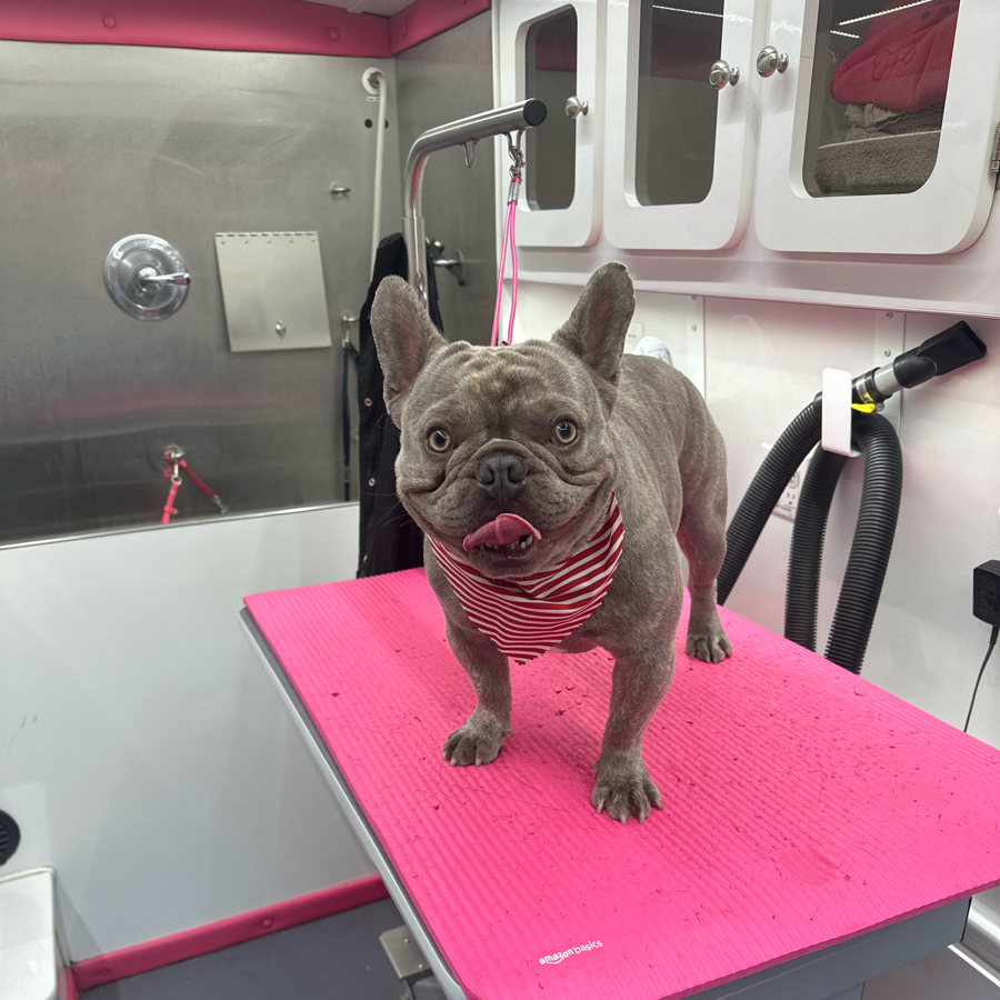 Online booking Lilly's Mobile Dog Grooming