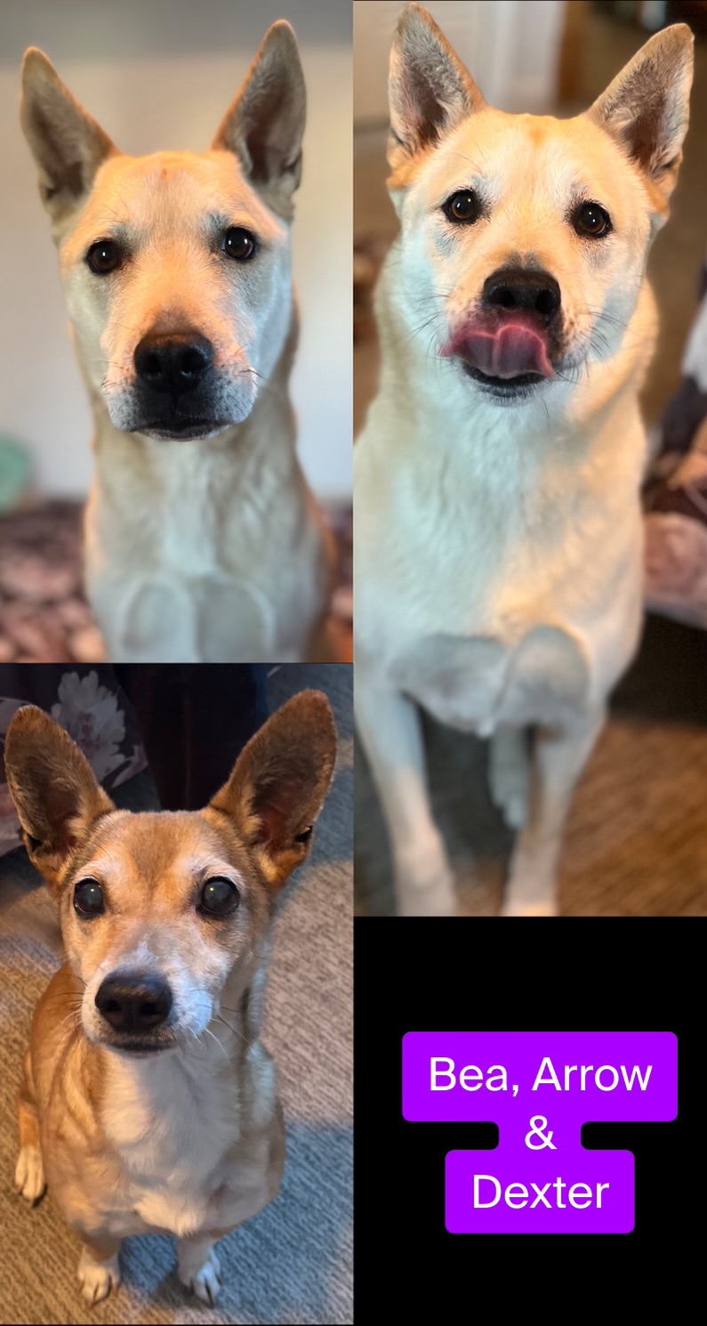 Online booking - Dakota’s Mobile Pet Nail Trimming Service