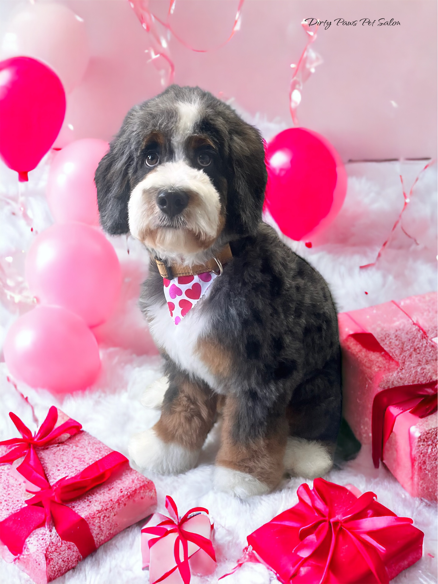 Online booking Dirty Paws Pet Salon