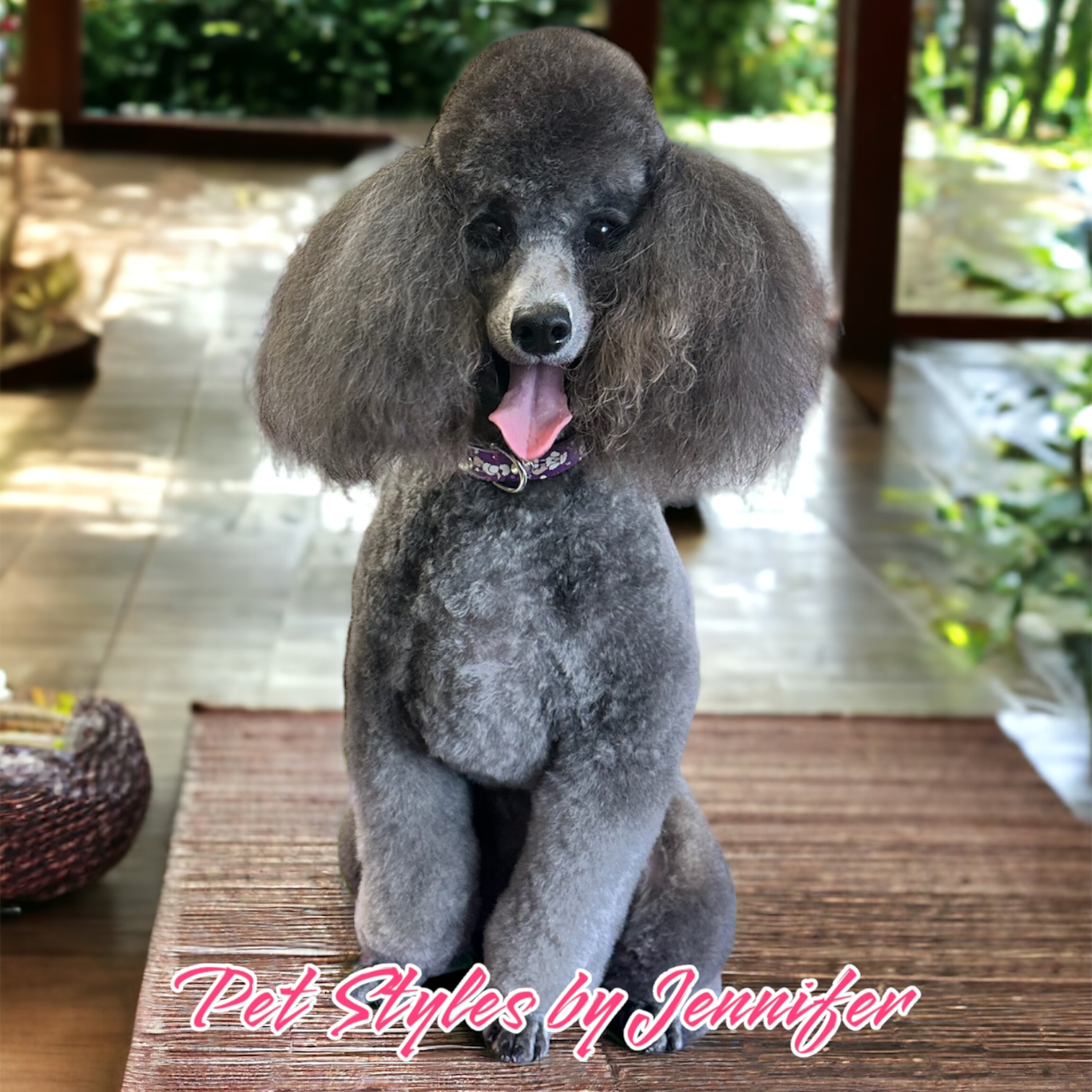 Online booking - Pet Styles by Jennifer