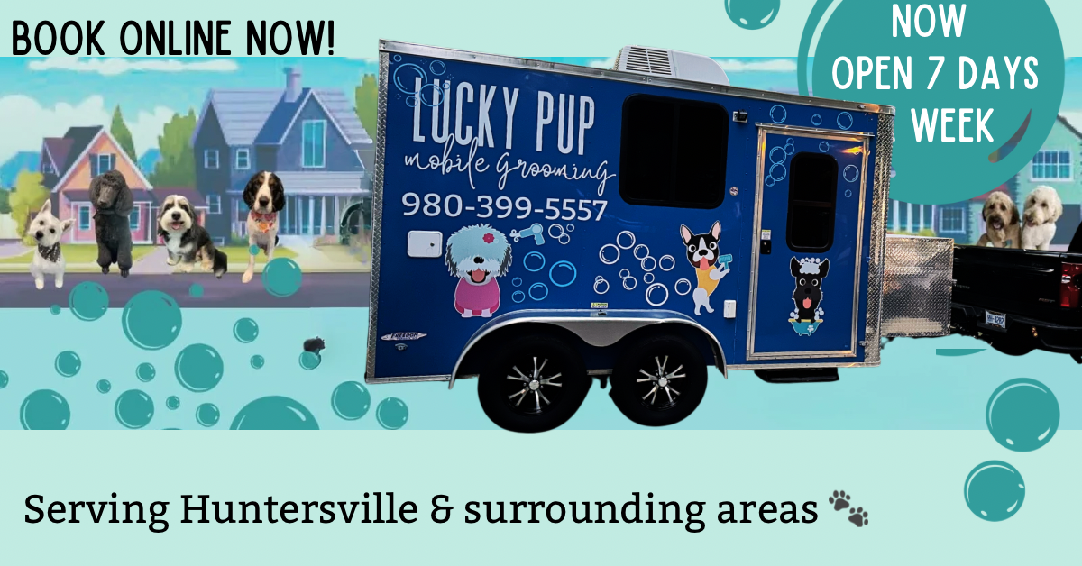 mobile pet grooming prices