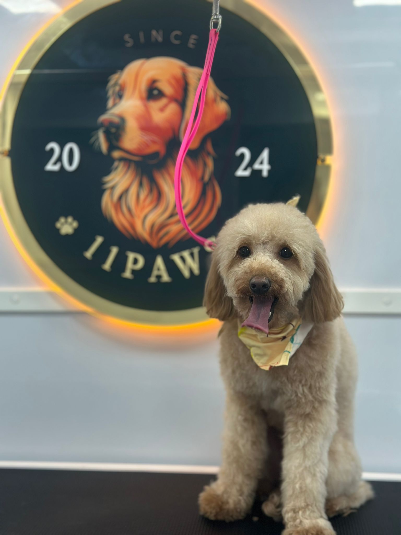Online booking - 11 PAWS LLC