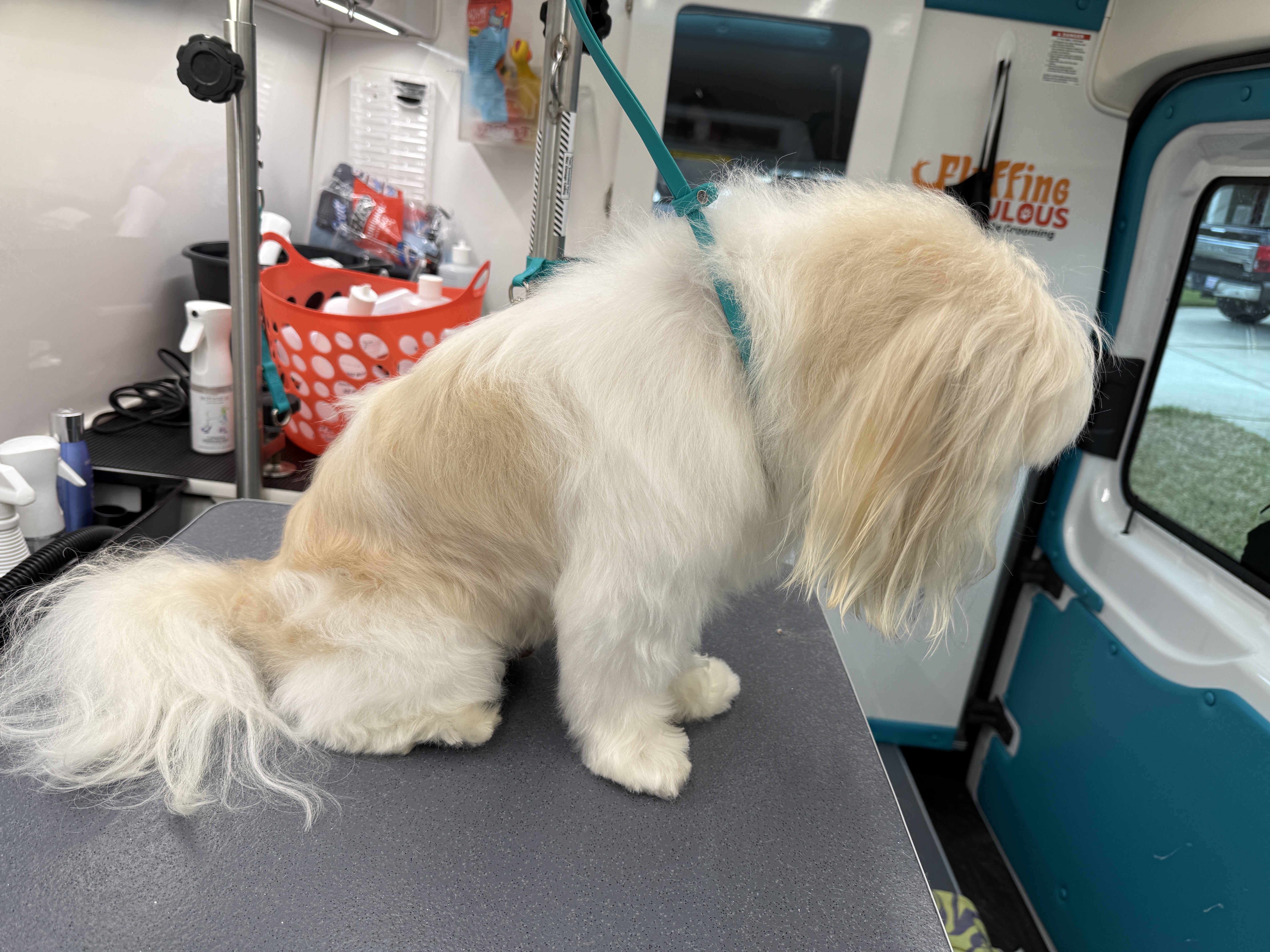 Online booking - Fluffing Fabulous Luxury Mobile Grooming