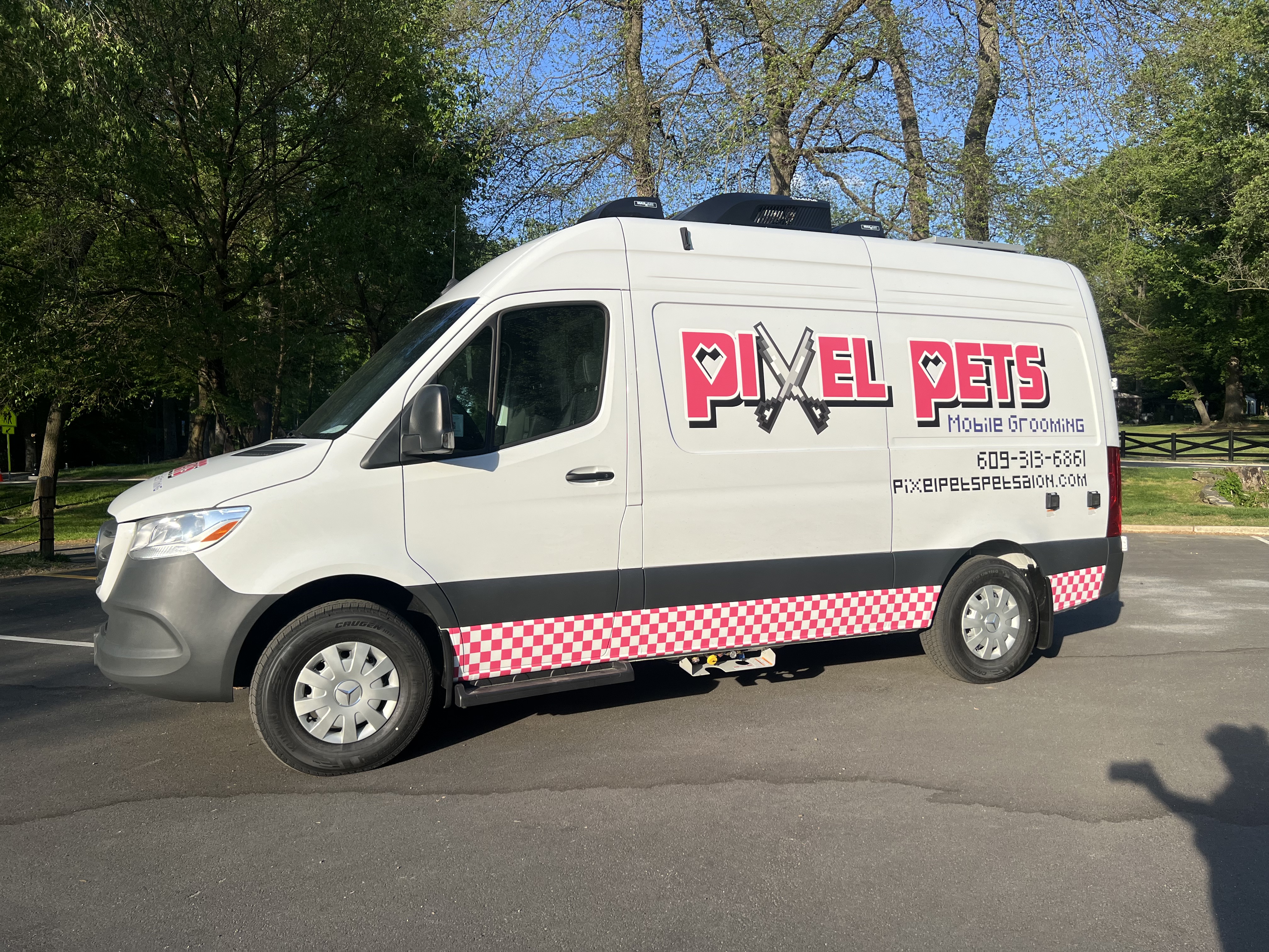 Pixel Pets Pet Salon