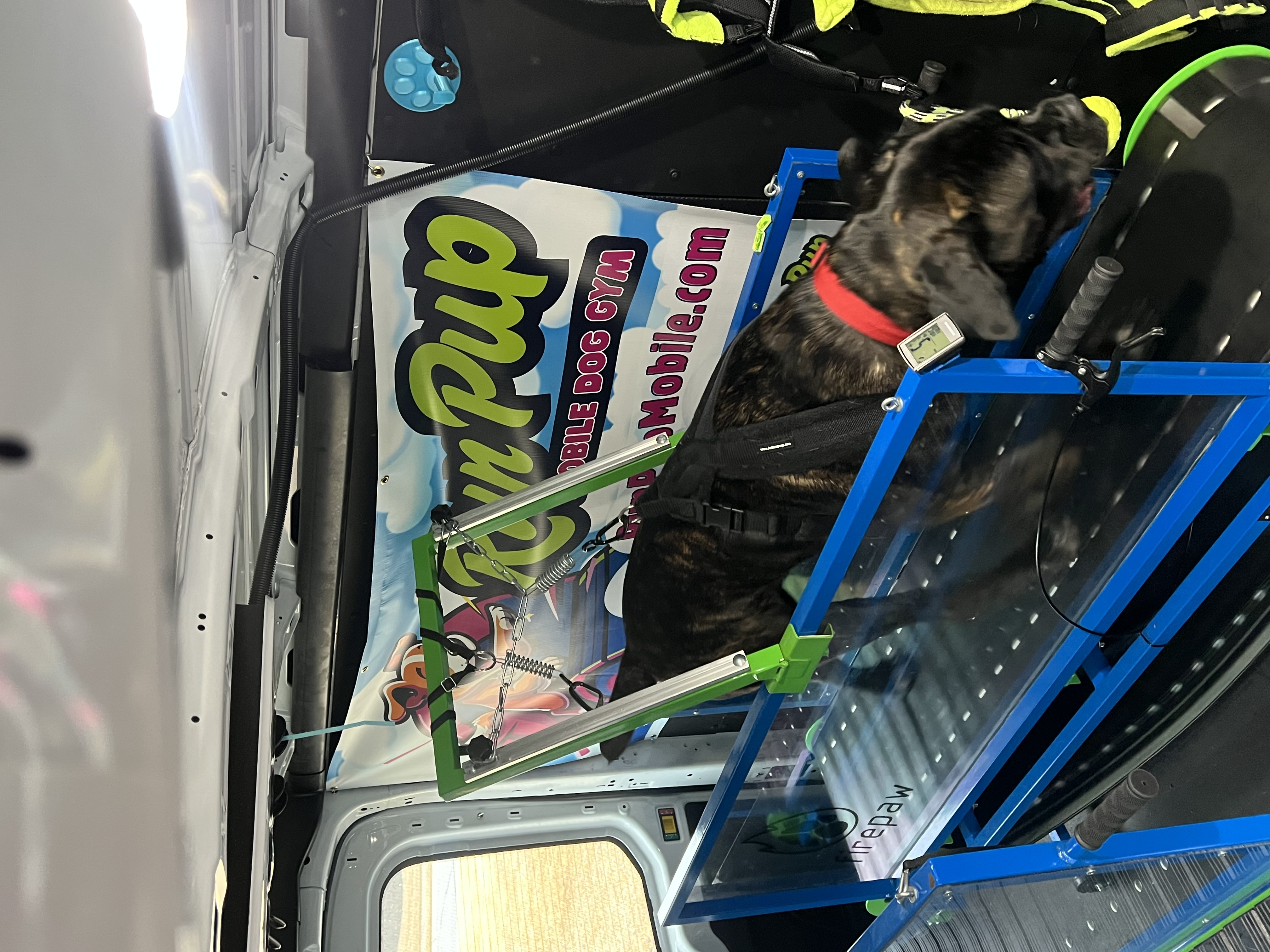 Online booking - Run Pup