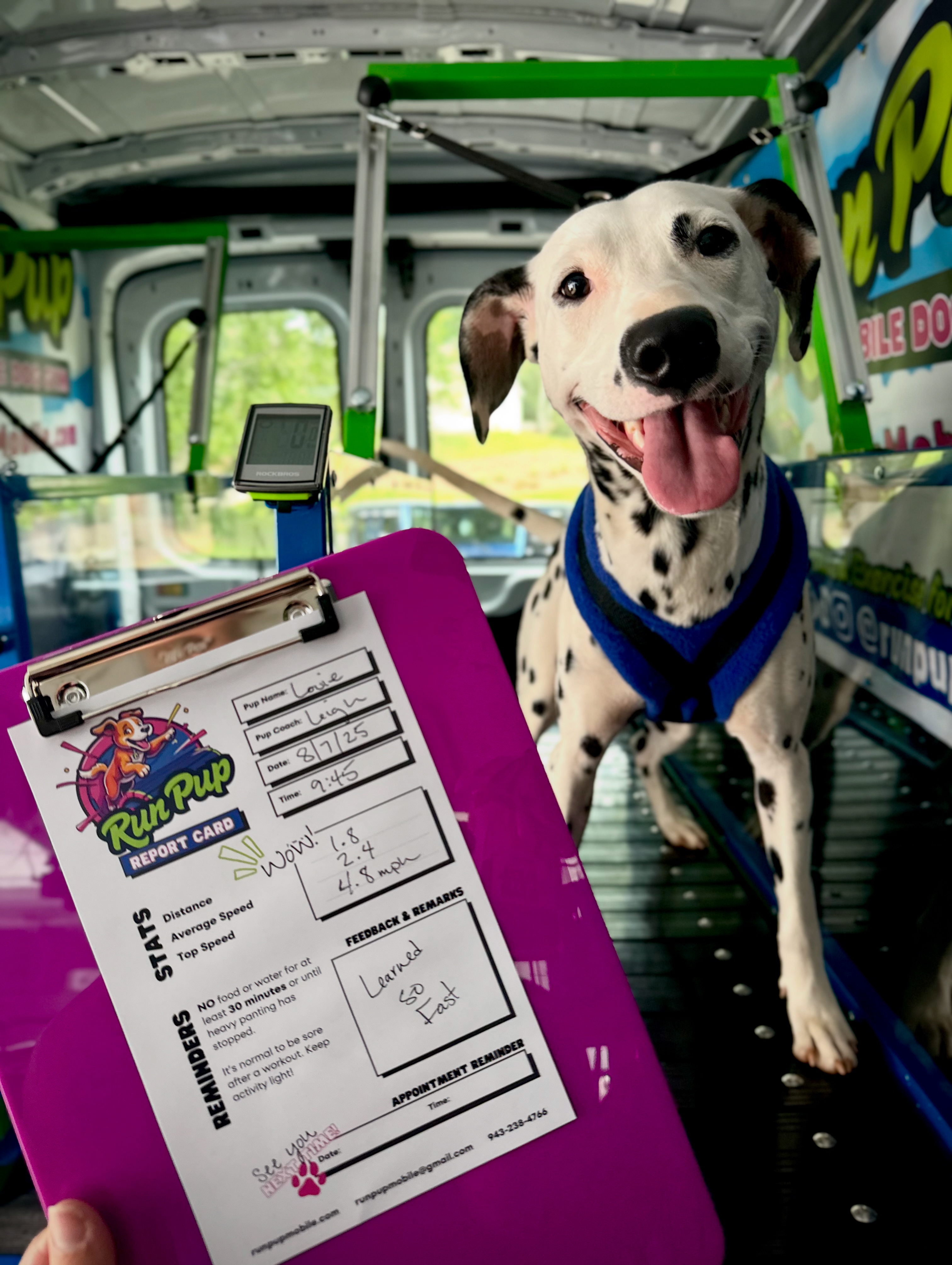 Online booking - Run Pup